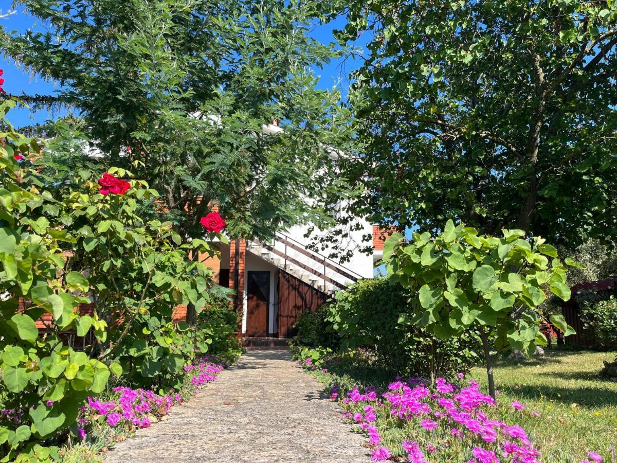 Annamaria Home Pula Buitenkant foto